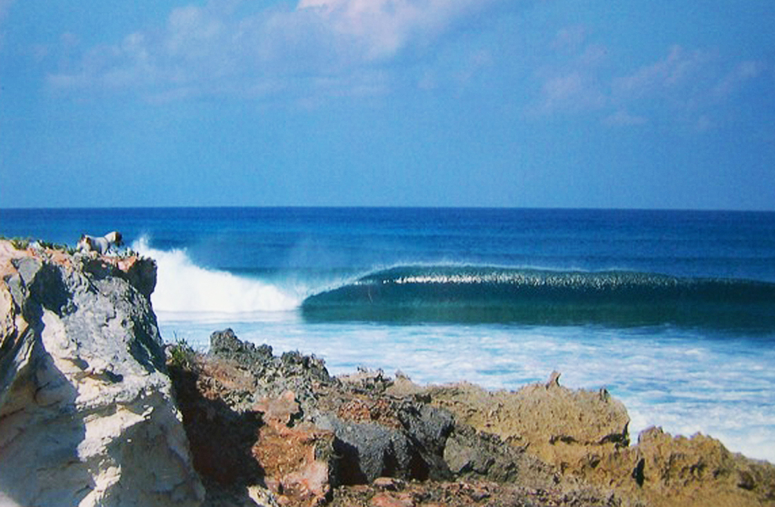 27DansSurfShack